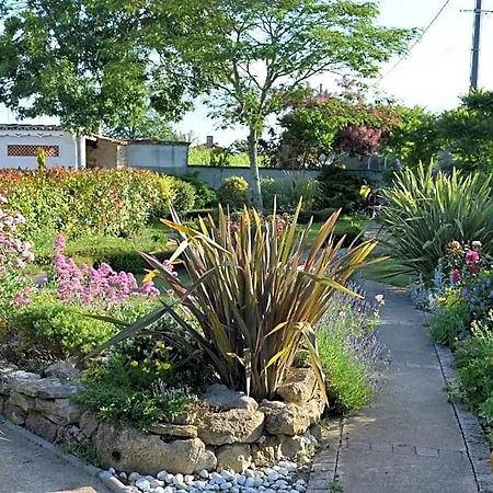 Jardin De Marceau Couette-café Blasimon